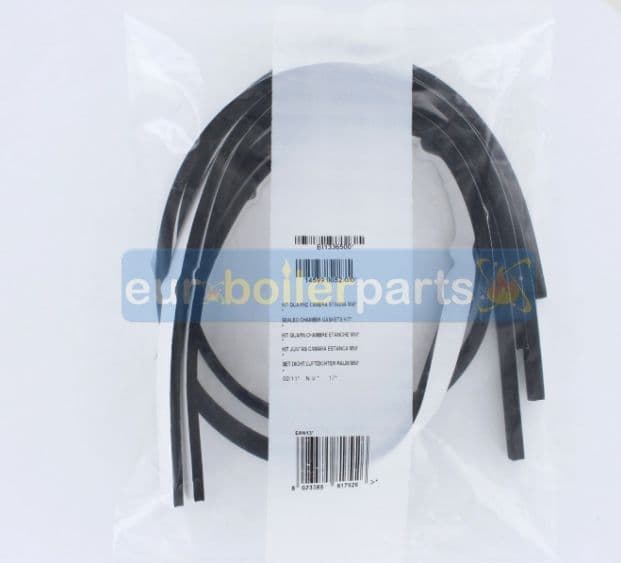 SE.200 Biasi BI1336500 sealed chamber gaskets kit