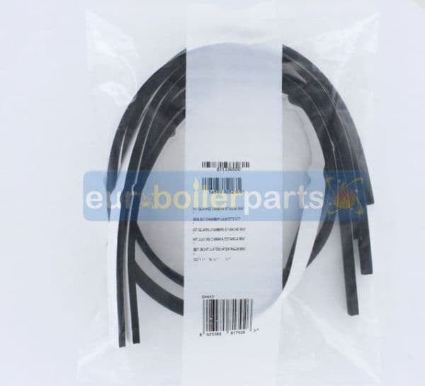 SE.200 Biasi BI1336500 sealed chamber gaskets kit