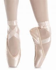 Grishko 2007 Pointe Shoe