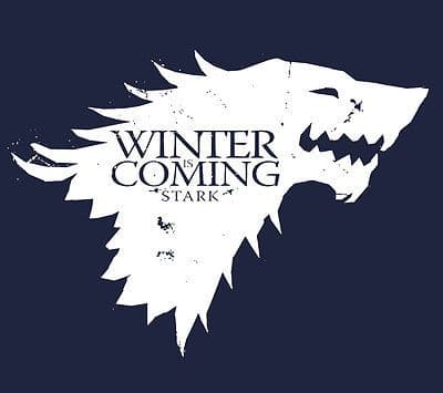 Game of Thrones 'Winter is Coming' Stark t-shirt