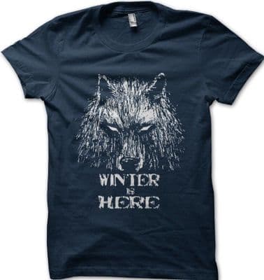 GOT Game Of Thrones inspired WINTER is Here NAVY printed t-shirt FN9625