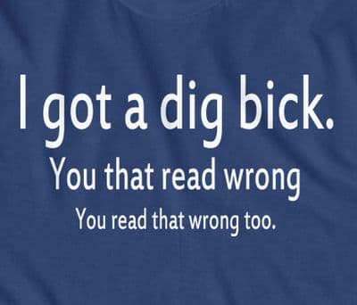 I Got a Dig Bick (Big dick) double take funny t-shirt