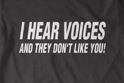 I HEAR VOICES AND THEY DON'T LIKE YOU! t-shirt
