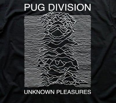 PUG Division Unknown Pleasures inspired Pulsar cotton t-shirt fn5020 (1)