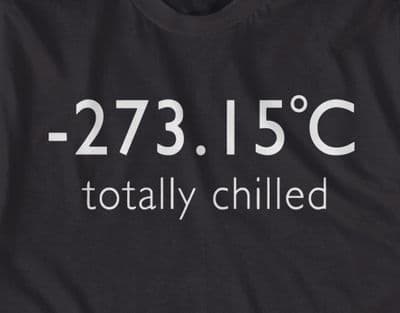 Totally Chilled t-shirt