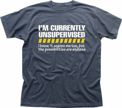 Unsupervised Mens Funny Joke t-shirt Gift for Him or Her Son Dad Grandad  fn9225 (1)