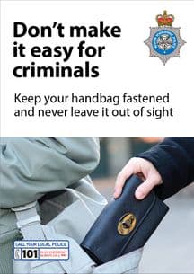 NYP16-0017 - Poster: Personal theft