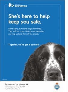 NYP17-0073 - Poster: Servator public poster