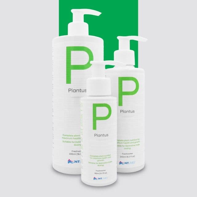 Nt Labs Plantus