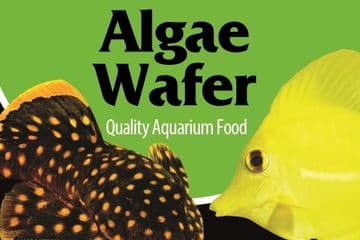 Algae Wafer 125g