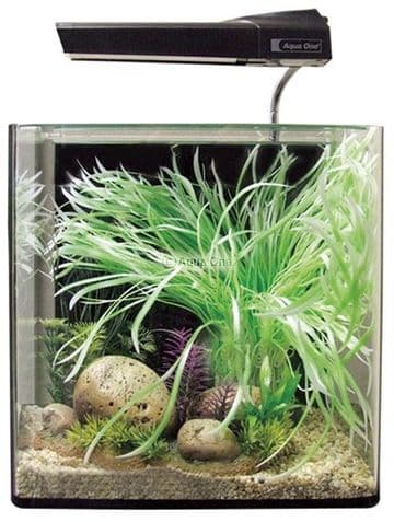AquaNano 40 Aquarium