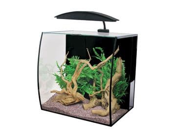 Arc 46 Aquarium