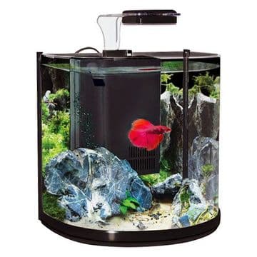 Betta BT 10L