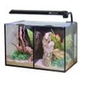 Betta Duo 20L