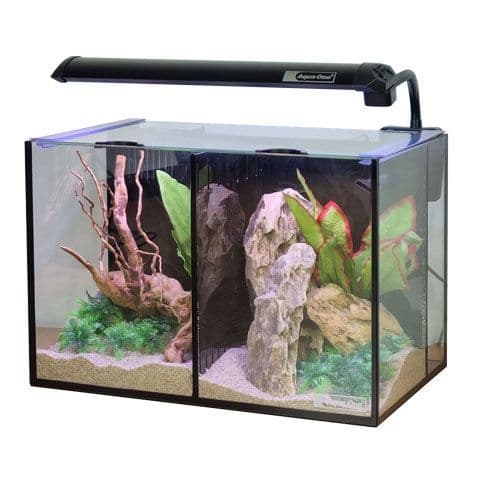 Betta Duo 20L