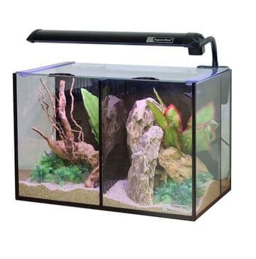 Betta Duo 20L