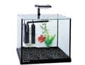 Betta Oasis 13L
