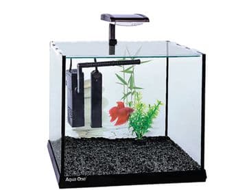 Betta Oasis 13L