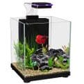 Betta Sanctuary 10L