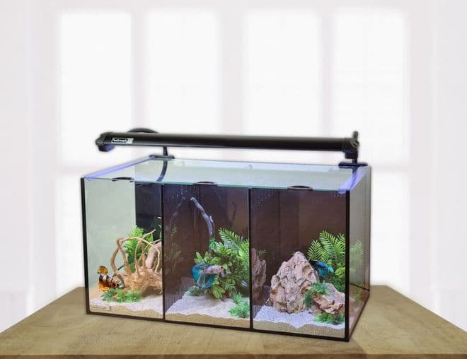 Betta Trio 32L