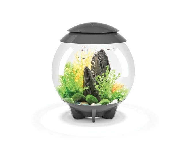 BiOrb Halo 60 Grey MCR Light