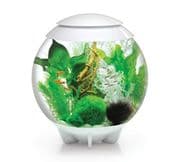 BiOrb Halo Aquarium