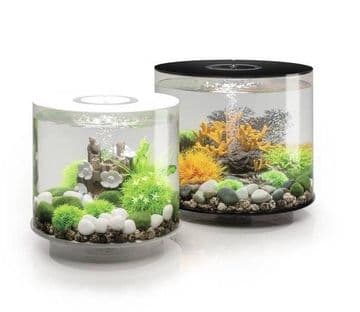 BiOrb Tube 35 Mcr Light Black