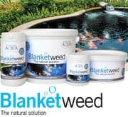 Blanketweed
