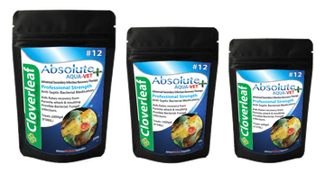 Cloverleaf Aqua-Vet Bacterial Recovery Treatment