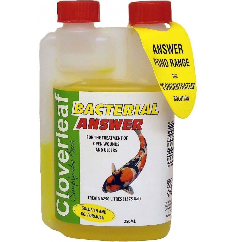 Cloverleaf Bacterial Answer