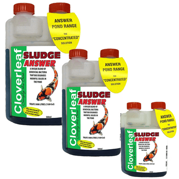 Cloverleaf Sludge Answer 1000ml