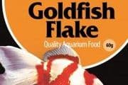 Fish Food Goldfish