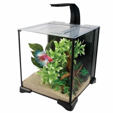 Fluval Betta Premium Aquarium Kit