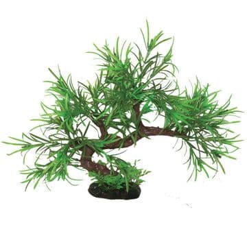 Hugo Bonsai Mini Spider 23cm