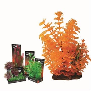 Hugo Boxed Plant Mix 8 22cm