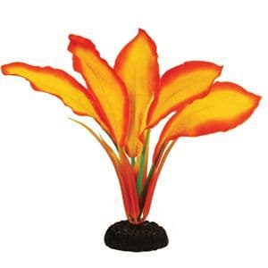 Hugo Corymbosa Sunset Silk 30cm