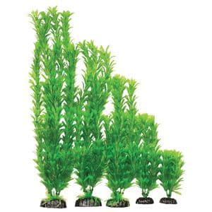 Hugo Egeria Green 40cm