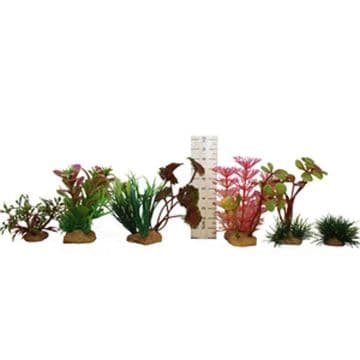 Hugo Miniature Plant Tub 1