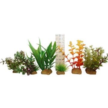 Hugo Miniature Plant Tub 2