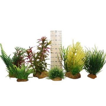 Hugo Miniature Plant Tub 3