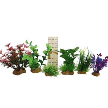 Hugo Miniature Plant Tub 4
