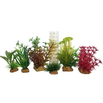 Hugo Miniature Plant Tub 5