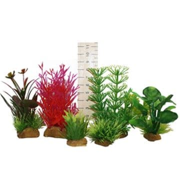 Hugo Miniature Plant Tub 6
