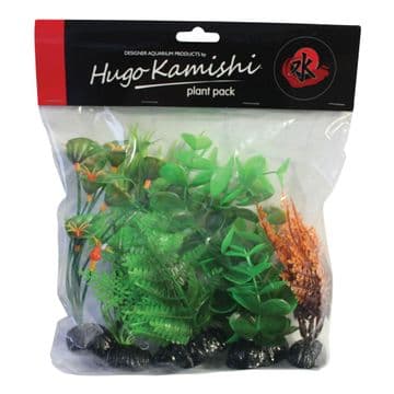 Hugo Orange/Green Plant Mix 5Pk