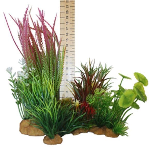 Hugo Plant Set Mixed Bushy Plant Box 2