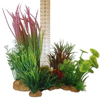 Hugo Plant Set Mixed Bushy Plant Box 2