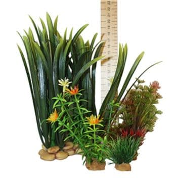 Hugo Plant Set Mixed Plant Box 4