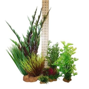 Hugo Plant Set Mixed Spikey Plant Box 3