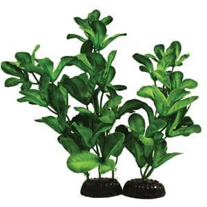 Hugo Shinnerisa Silk 20cm