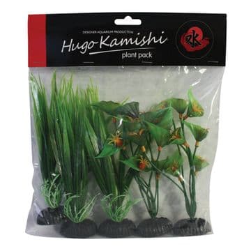 Hugo Spikey Plant Mix 5Pk